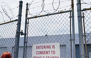 Wealthy blondes Devon Lee and Shyla Stylez get fucked