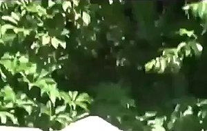 Video collection 11/26/