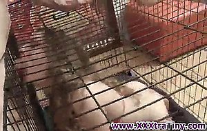 Tiny caged teen fucked