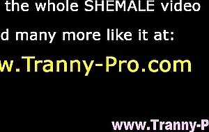 Tgirl ladyboy sucking cock