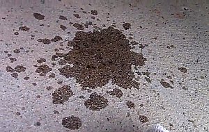 Petite teen wants to get fucked outdoors