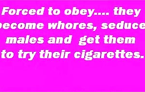 Beware the tranny sisterhood