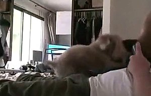 Mother wants cock but not showing too eager