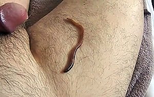 Worm video