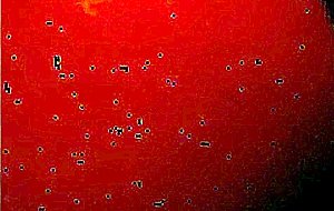 German teen krissi skype show 