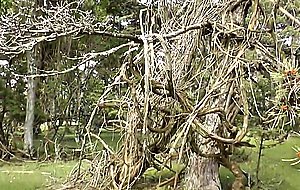 Kinky german meaty puffy pussylips fhd video