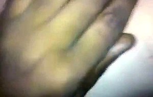 Jaguatirica selvagem