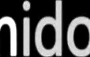 Black tranny with brutal dick jerking