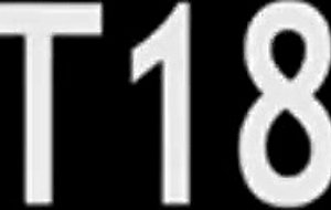 Busty model copulating on the terrase