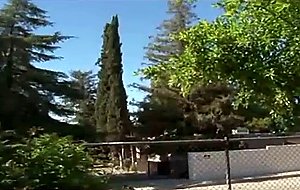 The officer helps a desperate young mother