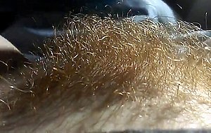 hairy redhead