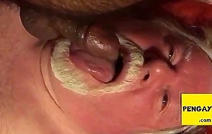 Daddy sucking cub