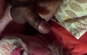 Daddy sucking cub