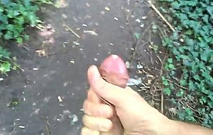 cumshots in the park