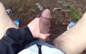 A walk in the wood with happy end