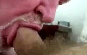 Daddy bear sucking cock