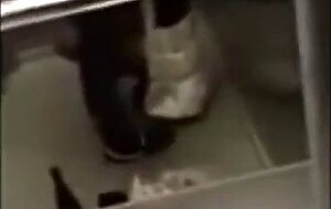 Elevator Blowjob
