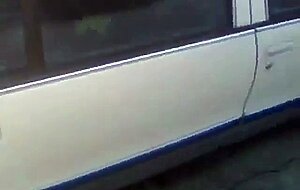 Big Black Dick cumming in Public