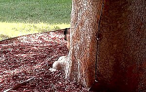 Fairy tale, eric masterson, kaylani lei