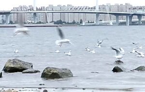 Teen erotica xxx, teen goddess henna ssy has her very fine ass creampied