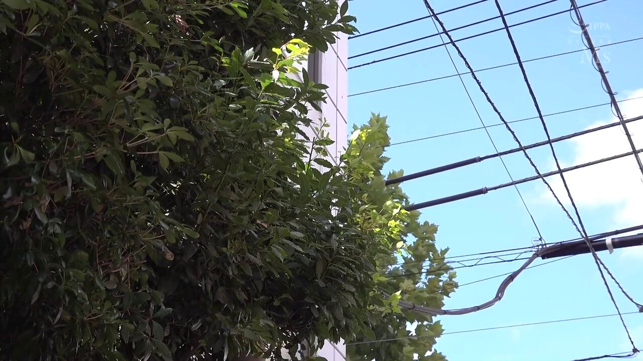 private lessons of love