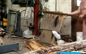 Silver Fox Strokes Wood at the Sawmill