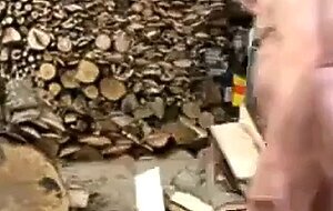 Silver Fox Strokes Wood at the Sawmill