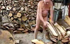 Silver Fox Strokes Wood at the Sawmill