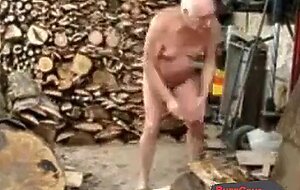 Silver Fox Strokes Wood at the Sawmill