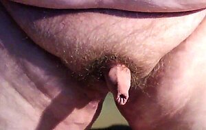 Chubby Guy's Little Joystick Swings Freely