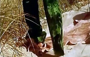 Vintage German Nudists at the Beach - Sonnenfreunde 1980