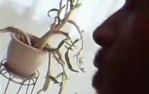 Milf stepmom destroyed by bbc