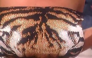 Brunette with big tits fucked in nylons and garter