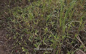 Petite horny teen fucked in public park - Almost caught! - Outdoor amateur sex