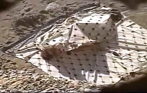 Sex On The Beach 190