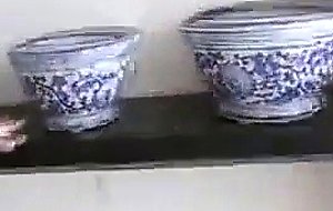 Redhead teen sucks first