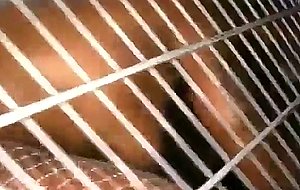 Shopping cart pussy ms cleo