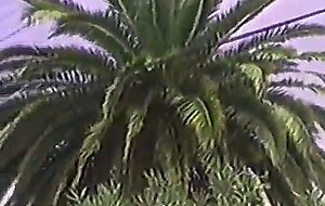 A13.more naughty debutante