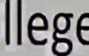 Two fine college girls sucking dick