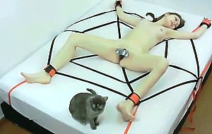 Asian trapped in the web